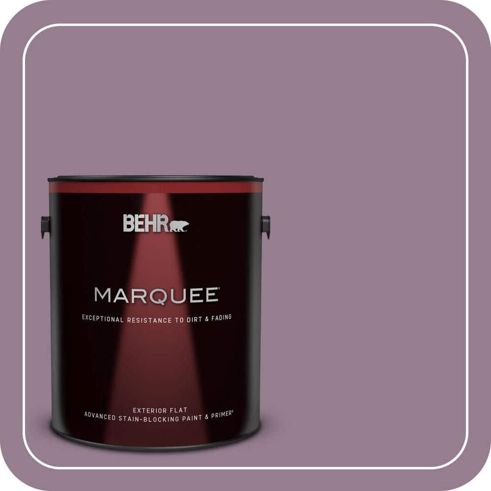 1 gal. #680F-5 Plum Swirl Flat Exterior Paint & Primer price history on PriceWatchPro