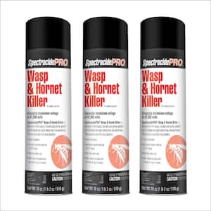 Pro 18 oz. Wasp and Hornet Insect Killer Aerosol (3-Pack)