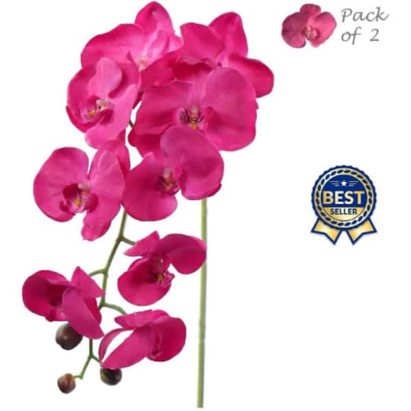 Larksilk 34 in. Artificial Fuchsia Phalaenopsis Orchid Stems (2 Pack), Floral Home by Artificial Flowers