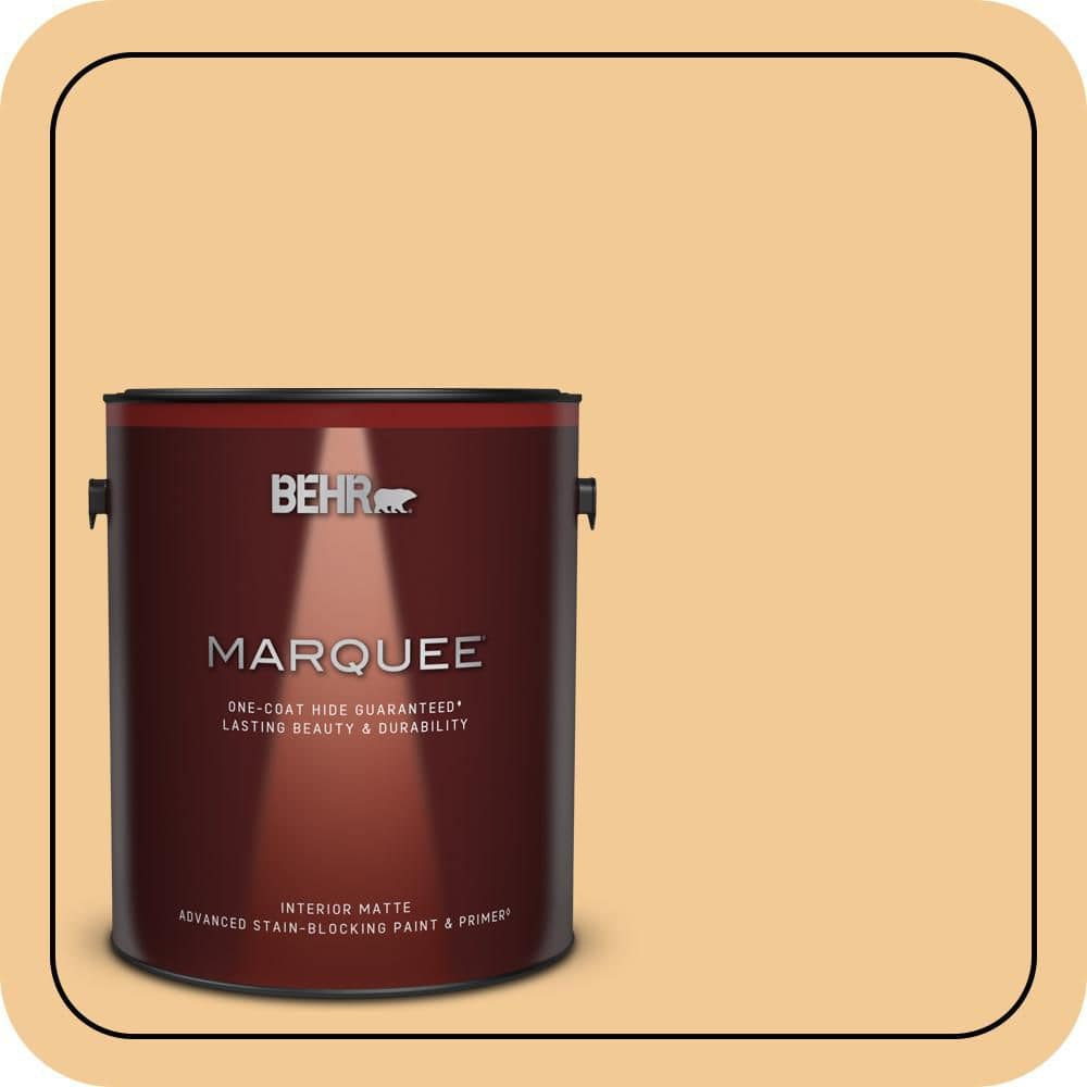 1 gal. #M260-4 Lunch Box Matte Interior Paint & Primer price history on PriceWatchPro