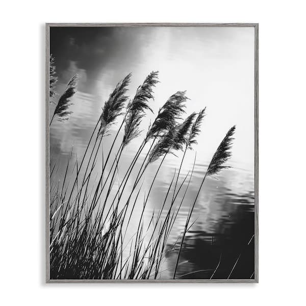 Stupell Industries Stark Contrast Wheat by Petal Prints Design Gray Framed Nature Giclee Art Print 30 in. x 24 in.