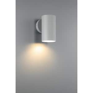 1-Light Satin LED Outdoor Wall Lantern Sconce (1-Pack)