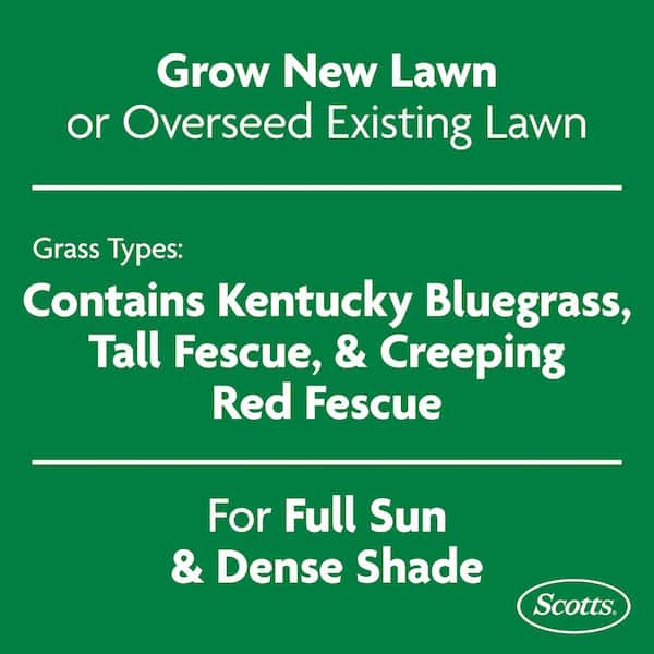 Turf Builder 2.4 lbs. Grass Seed Dense Shade Mix with Fertilizer and Soil Improver Grows With Little Sunlight