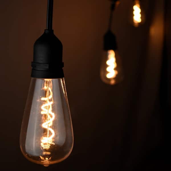 Hampton Bay 12-Light 24 ft. Outdoor/Indoor Black Plug-in ST64 Novelty Bulb LED String Light
