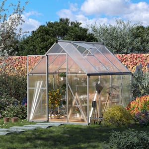 6 ft. W x 8 ft. D Walk-In Outdoor Polycarbonate Greenhouse