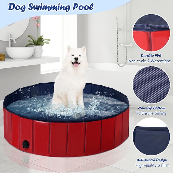 Durable dog swimming store pools