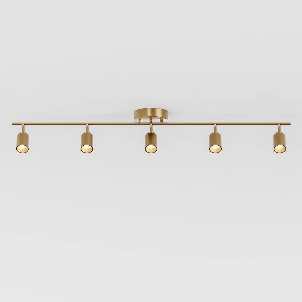Shura 48" Brushed Brass LED Track Light with Adjustable Heads