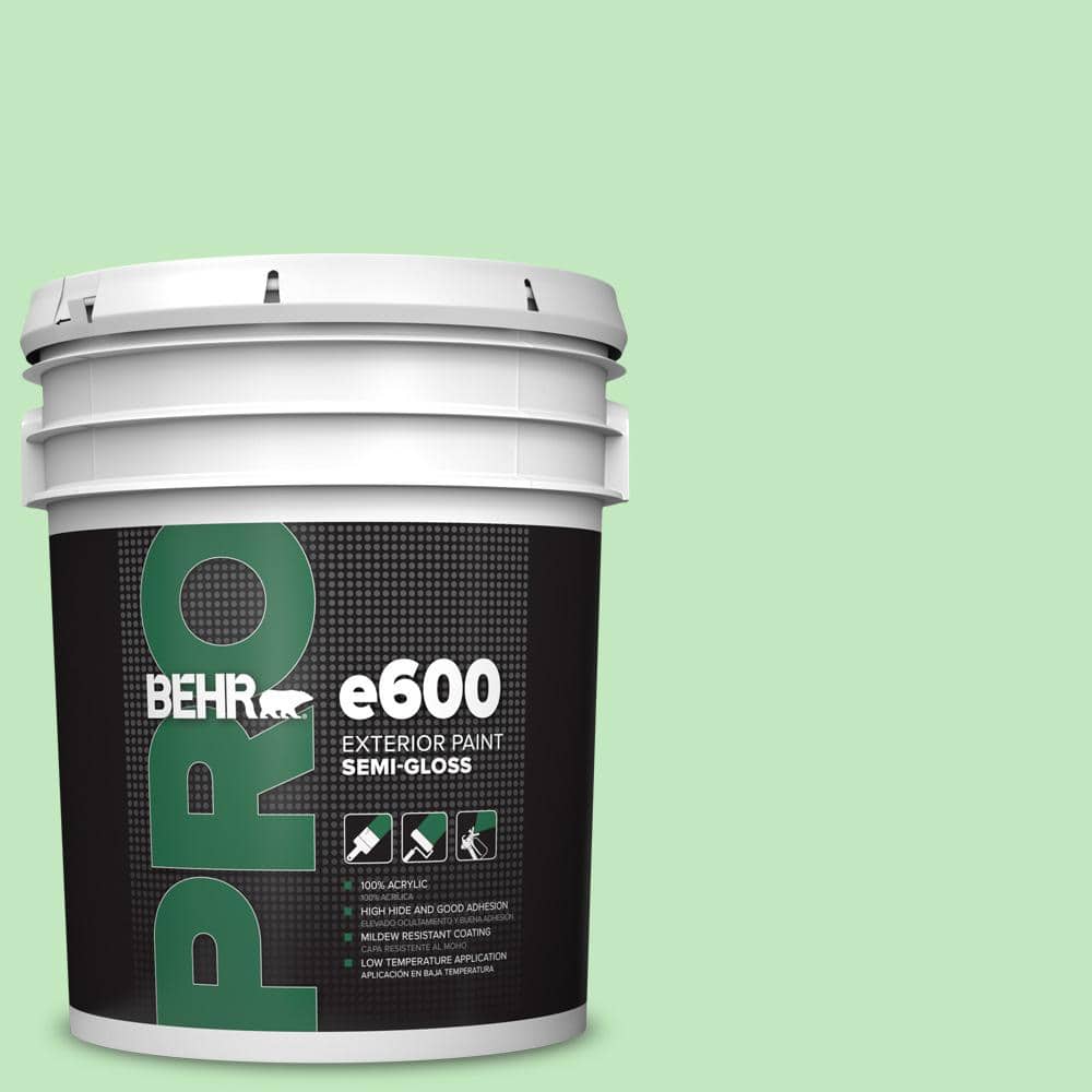 5 gal. #450A-3 Mountain Mint Semi-Gloss Exterior Paint price history on PriceWatchPro