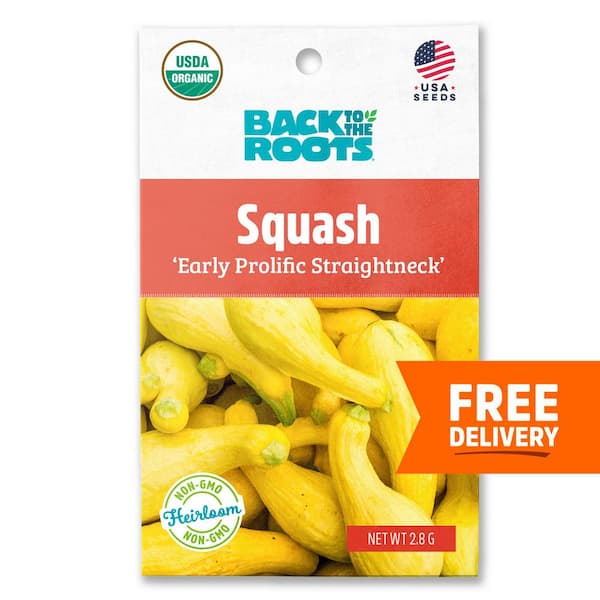 Back to the Roots Organic Squash 'Early Prolific Straightneck' Gardening Seeds