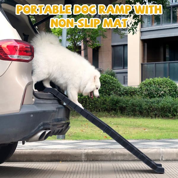 Portable dog hotsell ramp for suv