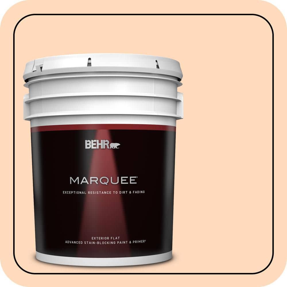 5 gal. #P210-2 Citrus Delight Flat Exterior Paint & Primer price history on PriceWatchPro