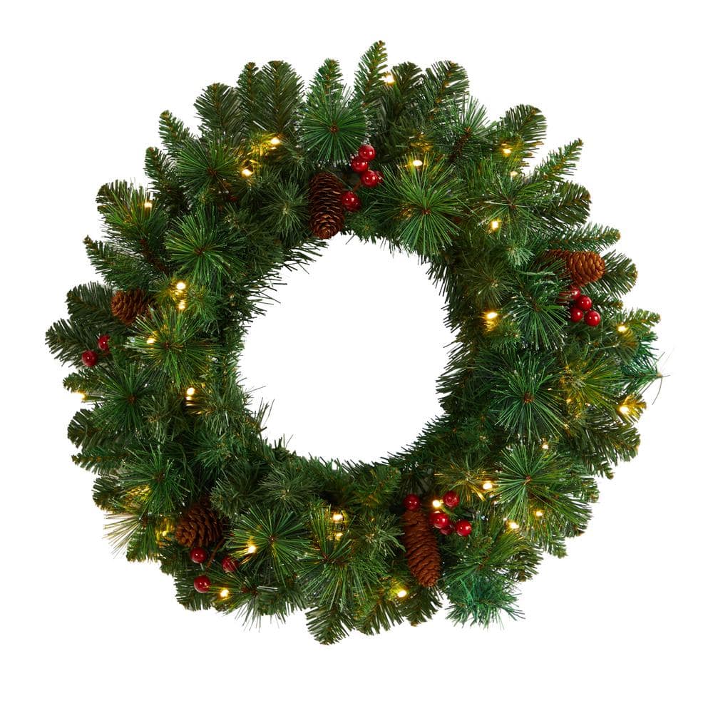 20 in. Prelit LED Frosted Pine Artificial Christmas Wreath with Pinecones, Berries and 35 Warm White LED Lights price history on PriceWatchPro