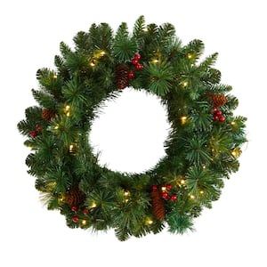 20 in. Prelit LED Frosted Pine Artificial Christmas Wreath with Pinecones, Berries and 35 Warm White LED Lights