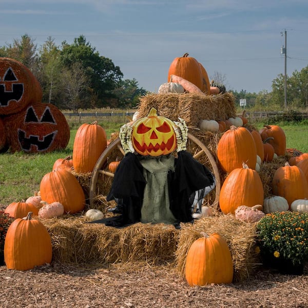 Haunted Hill Farm HHFJPUMP-1LSA 25 in. Pop-Up Animatronic Pumpkin Head, Indoor/Outdoor Halloween Decoration, Multi