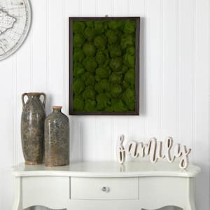 17 in. x 24 in. Artificial Moss Hanging Frame