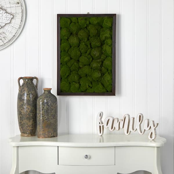 Nearly Natural 17 in. x 24 in. Artificial Moss Hanging Frame