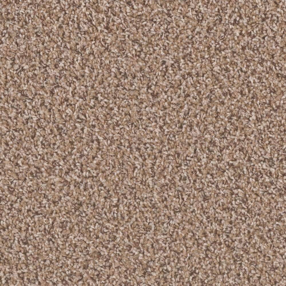 8 in. x  8 in. Texture Carpet Sample - Dream Wish -Color Pursue price history on PriceWatchPro