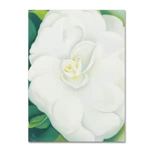 14 in. x 19 in. White Camelia by Georgia O'Keefe Floater Frame Nature Wall Art