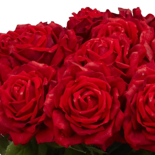 SITUMEIZI 1500 PCS Red Rose Petals Flower Artificial