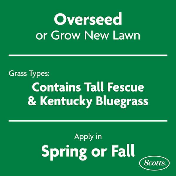 Turf Builder 16 lbs. Grass Seed Heat-Tolerant Blue Mix for Tall Fescue Lawns with Fertilizer and Soil Improver