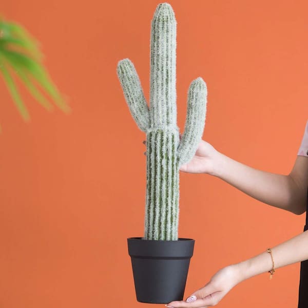 Unbranded 24.5 in. Green Indoor Succulent Artificial Cactus, Artificial  Plant Fake Cactus for Decktop Office Home Store Decoration W2078P294239YF