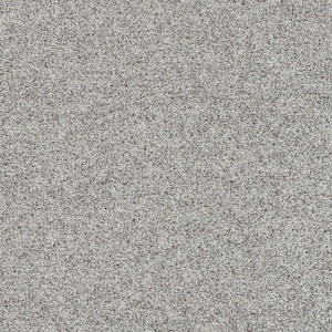 Folklore II - Dreamer Gray - 60 Oz. SD Polyester Texture Installed Carpet