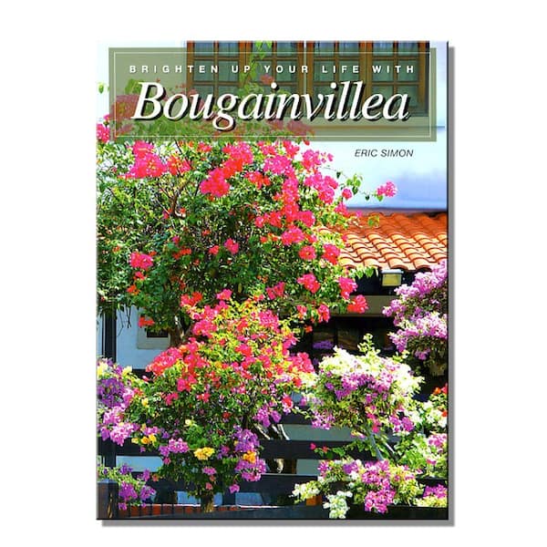 BGI Brighten Up Your Life with Bougainvillea by Eric Simon