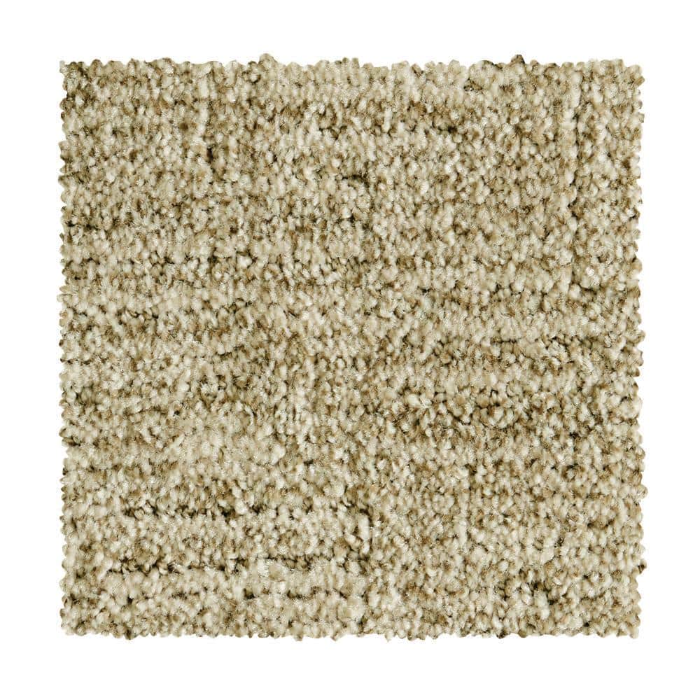 8 in. x 8 in. Pattern Carpet Sample - Corry Sound - Color Verona price history on PriceWatchPro