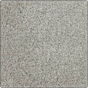 Denfort  - Cloudy Day - Gray 70 oz. Triexta Texture Installed Carpet