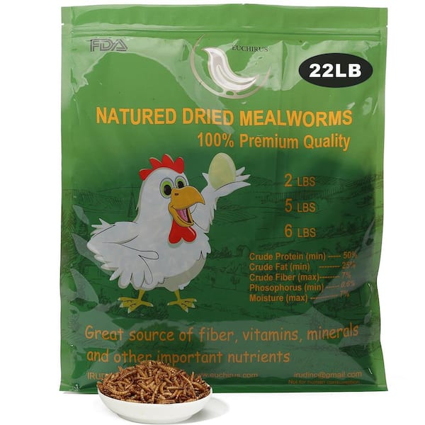 Euchirus 22 lbs. Non-GMO Dried Mealworms for Wild Bird Chicken Fish, High-Protein, Large Meal Worms
