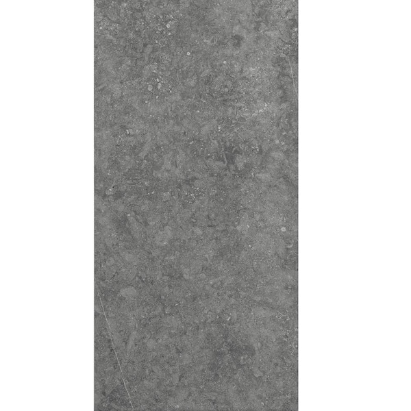 Daltile Albany Light Gray Matte 12 in. x 24 in. Color Body Porcelain Floor and Wall Tile (9.7 sq. ft. / case)