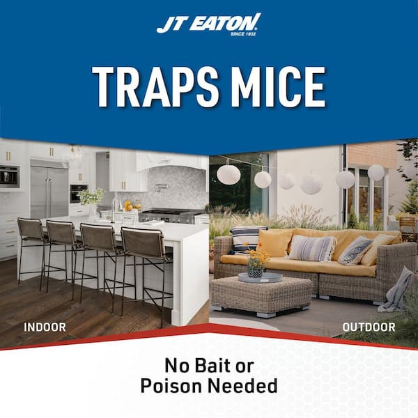 Repeater Low Profile Multi Catch Mouse Trap with Solid Steel Lid (12-Pack)