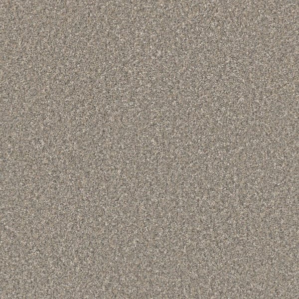 Gentle Glimmer III-Radiant Gray -70 oz. SD Polyester Texture Installed Carpet