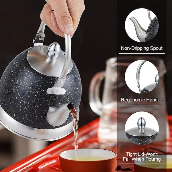 Tea Kettle Stovetop Stainless Steel Tea Pots with Mesh Strainer Pour Over  Coffee Kettle Tea Brewing Kettle Fast Heating Boiling Water Kettle  Induction