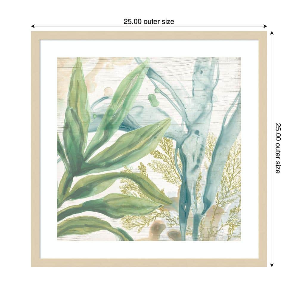 Quiet Coastal Collage II 33" Framed Abstract Botanical Print in Natural Wood