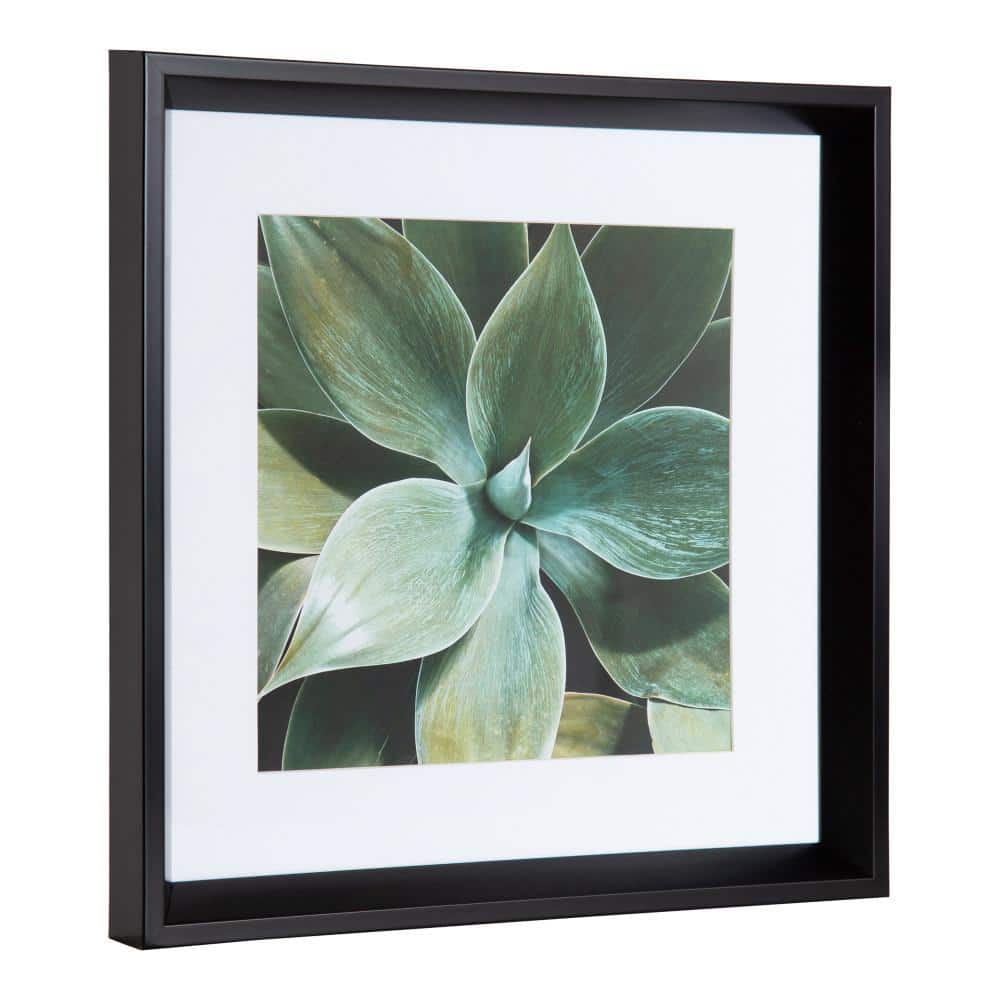 Green Succulent Leaves Framed Canvas Print Set