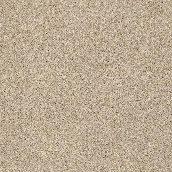 Lifeproof 8 in. x 8 in. Texture Carpet Sample - Karma I - Color Wellington