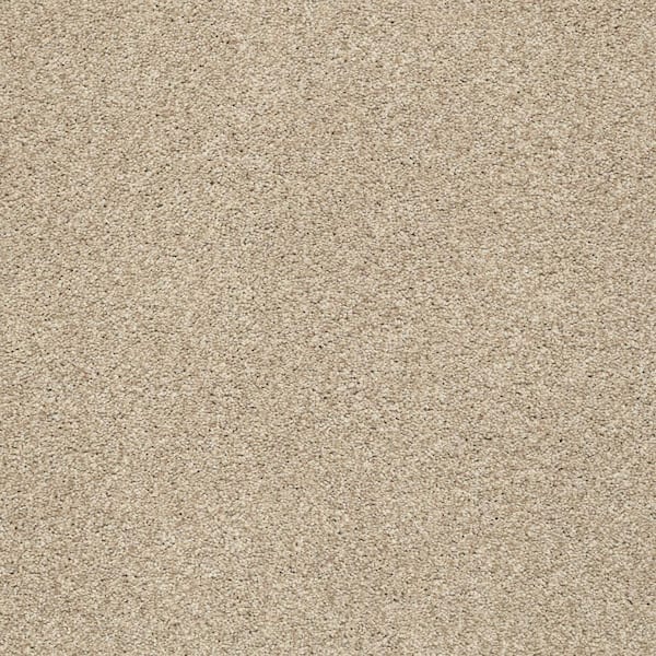 Lifeproof 8 in. x 8 in. Texture Carpet Sample - Karma II - Color Wellington