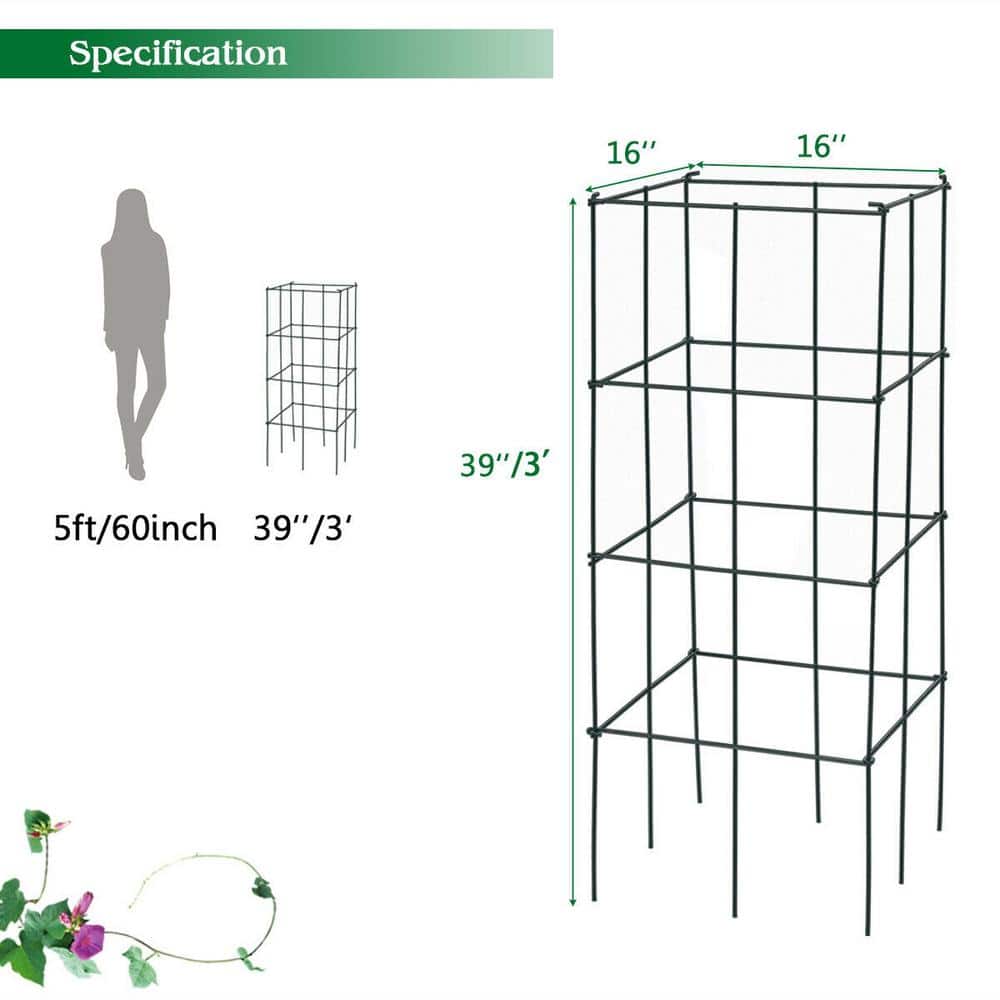 Dark Green Iron Trellis Plant Cage Set for Indoor Climbing Plants