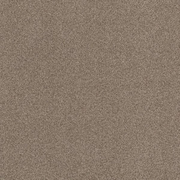 Lifeproof 8 in. x 8 in. Texture Carpet Sample - Urban Artifact I - Color Sandstorm