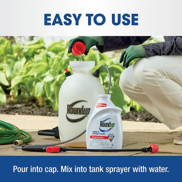Roundup Weed and Grass Killer 4 Concentrate, 64 fl. oz., Visible Results in  Hours 5376506