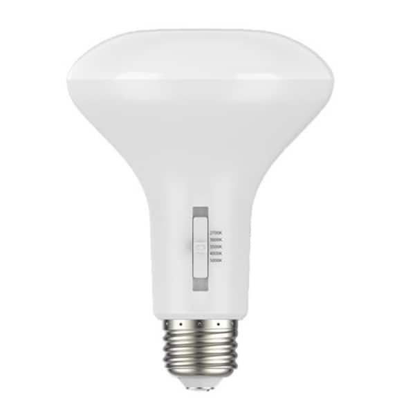 EcoSmart 65-Watt Equivalent BR30 Dimmable LED Flood Light Bulb with Selectable Color Temperature (6-Pack)