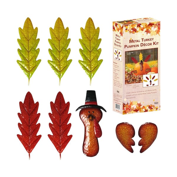 Turkey Feathers As Thanksgiving Decorations - Wing & Tail Feathers