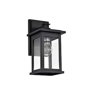 1-Light Black Hardwired Outdoor Wall Lantern Sconce Porch Light with Clear Seedy Glass