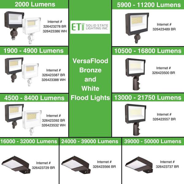 Solar Goes Green 990-Lumen 250-Watt Gray Low Voltage Solar LED Flood Light Motion Sensor