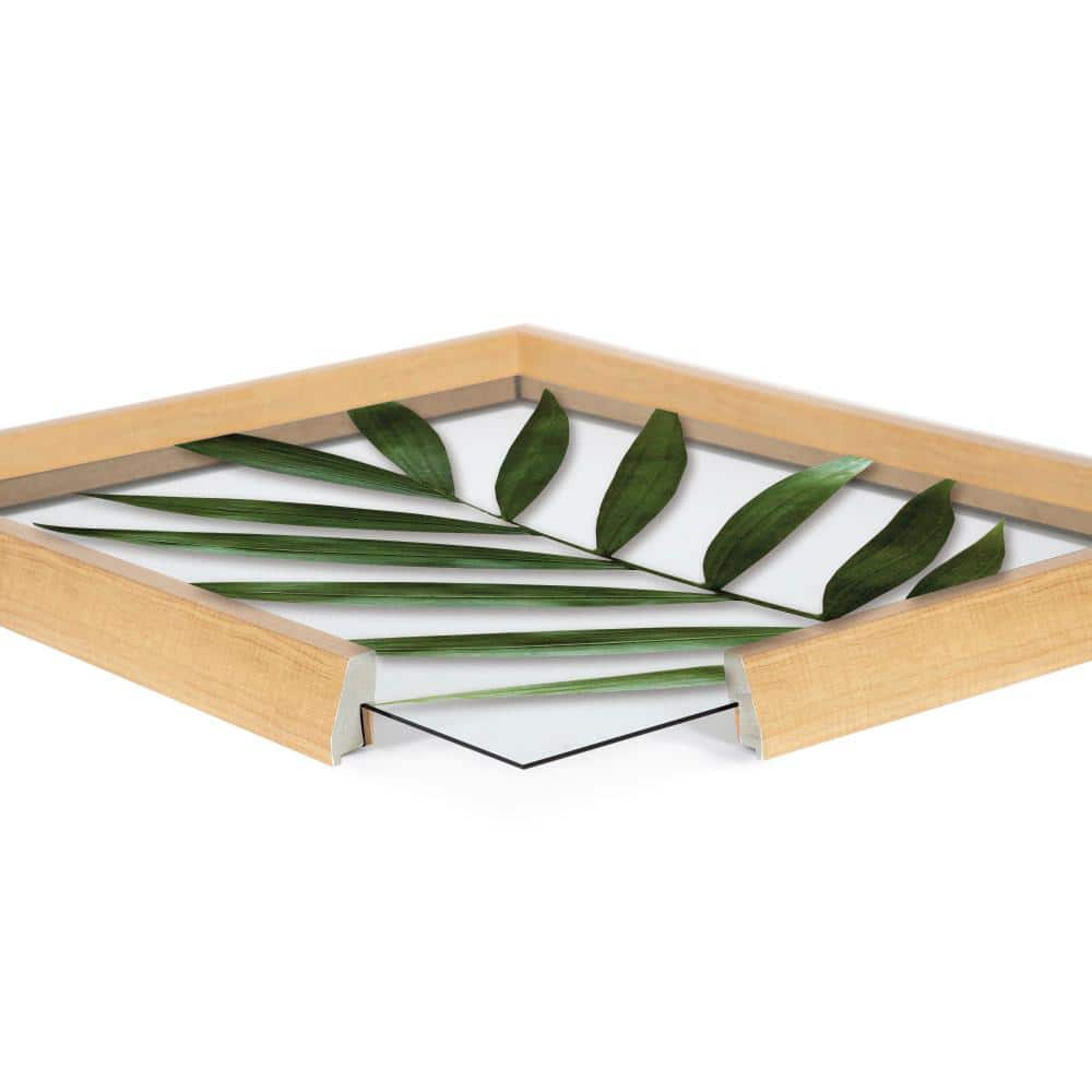 Blake Botanical Natural Framed Glass Wall Art, 18x24