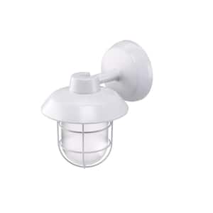 75W Equivalent Integrated LED White Outdoor Wall Mount/Pendant Residential Area Light, 1000 Lumens, 3 CCT Selectable