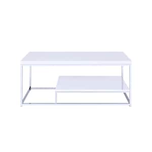 Lucia 47 in. White/Chrome Large Rectangle Resin Coffee Table with Shelf