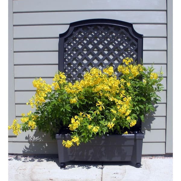 Calypso 31 in. x 13 in. Anthracite Plastic Planter with Trellis and Water Reservoir