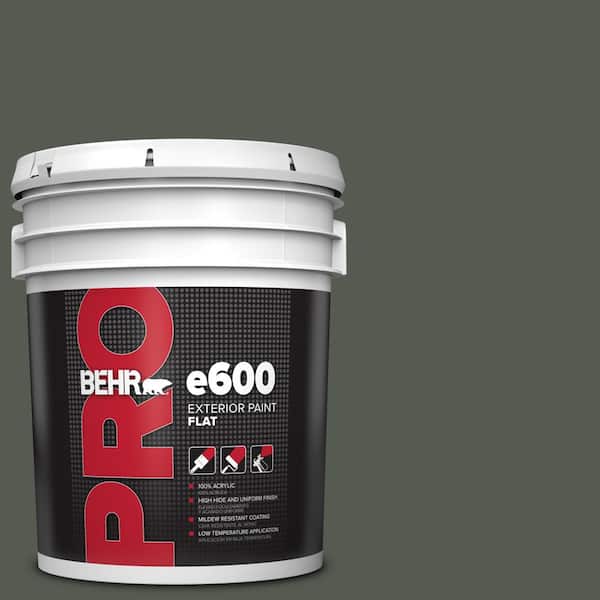 5 gal. #N410-7 North Woods Flat Exterior Paint